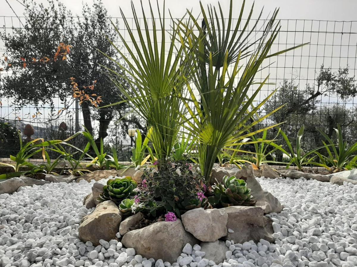 Villa Persico Massa Lubrense Dış mekan fotoğraf