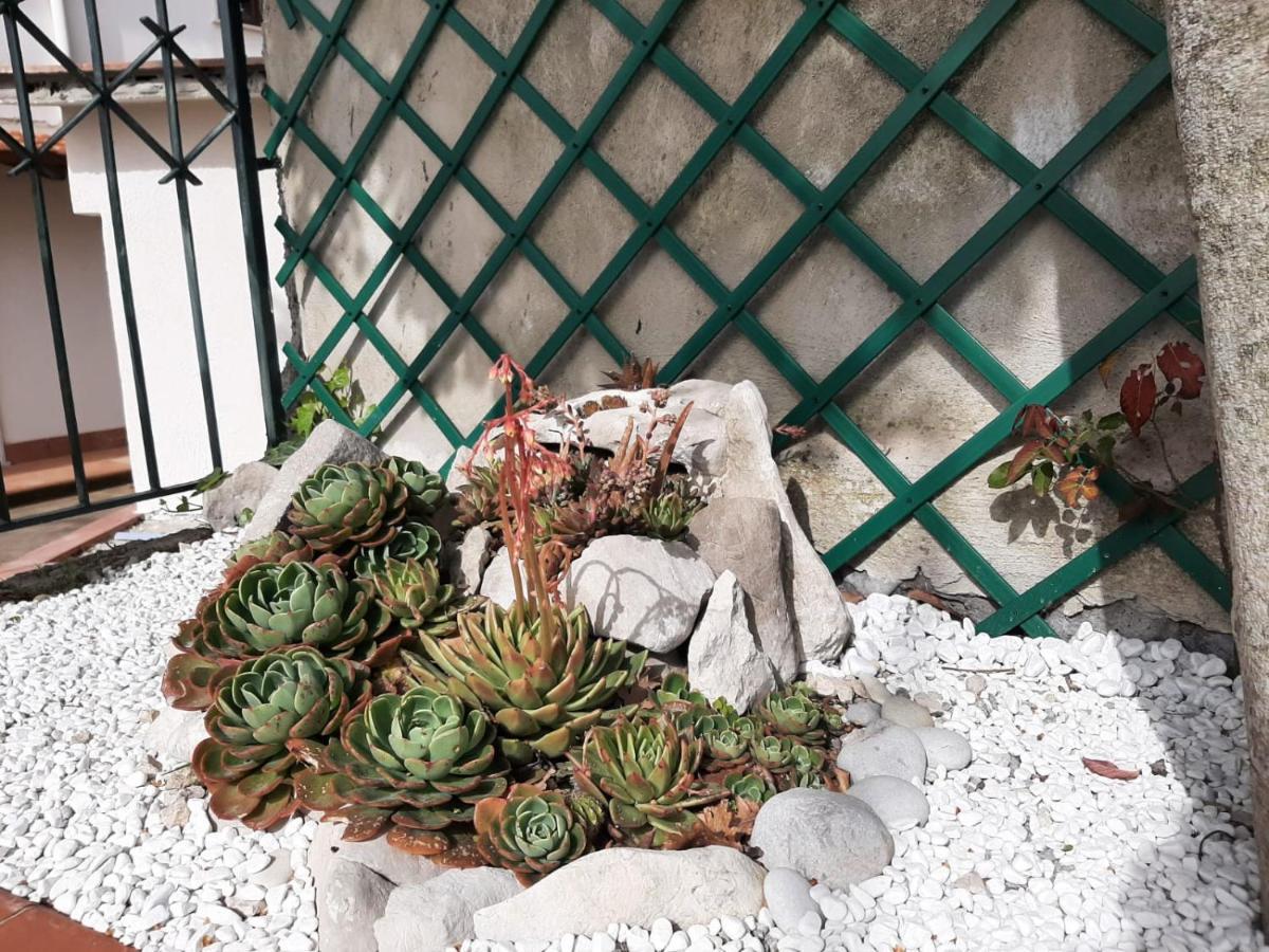 Villa Persico Massa Lubrense Dış mekan fotoğraf