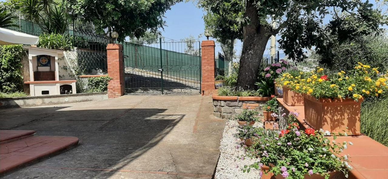 Villa Persico Massa Lubrense Dış mekan fotoğraf