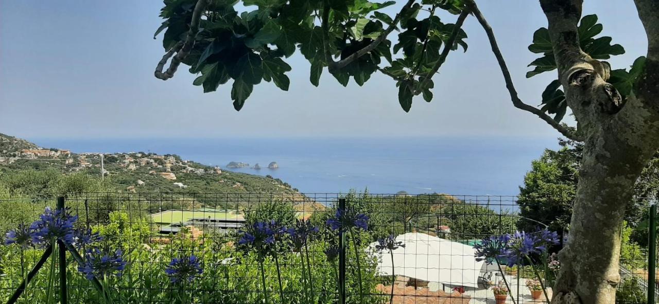 Villa Persico Massa Lubrense Dış mekan fotoğraf