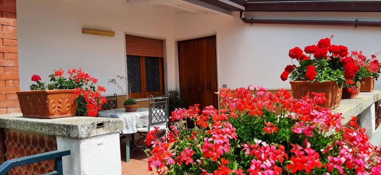 Villa Persico Massa Lubrense Dış mekan fotoğraf